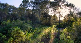 von_poll_real_estate_property_ES233744226_image_3