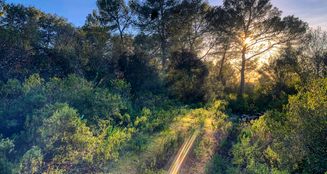 von_poll_real_estate_property_ES233744226_image_0