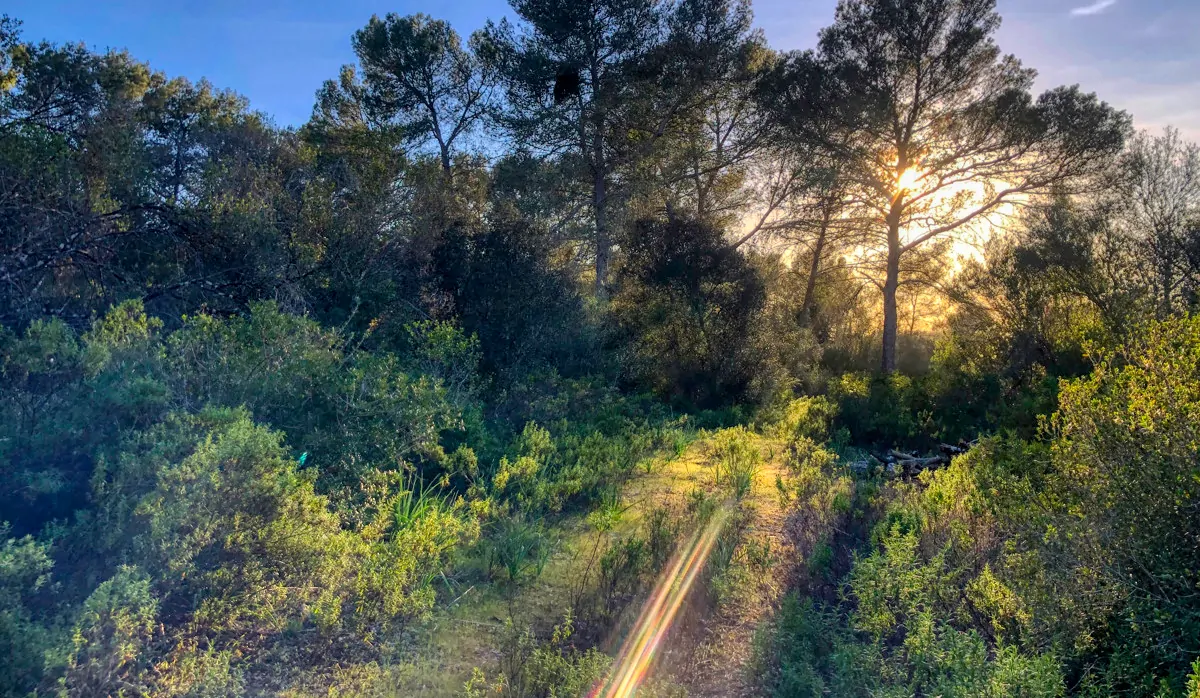 Natürliche Umgebung der Finca