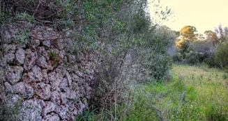 von_poll_real_estate_property_ES233744226_image_6