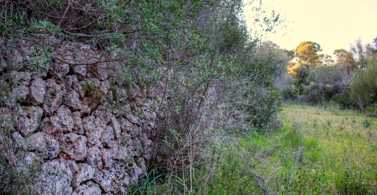 Trockensteinmauern am Grundstück