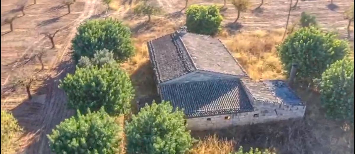 Zu-verkaufen-große-Finca-mit-Wohnprojekt-Olivenhain-Weinberg-in-Inca