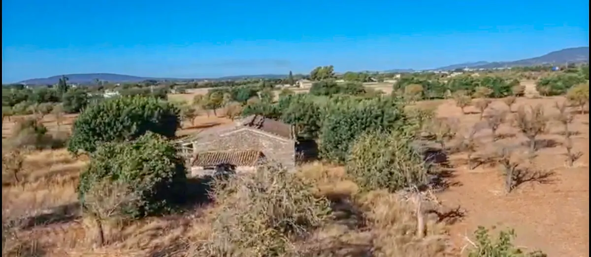 Projekt einer Finca mit Weinberg