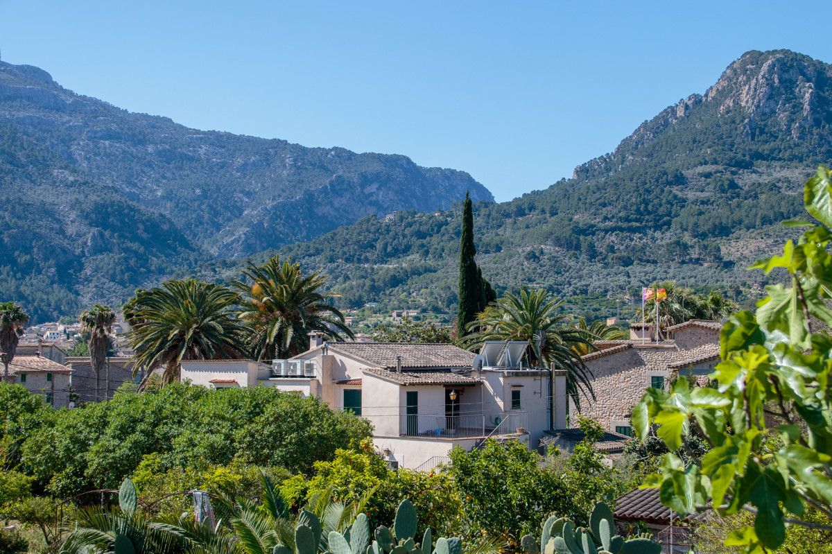 FINCA-SOLLER-GARTEN-POOL (31)