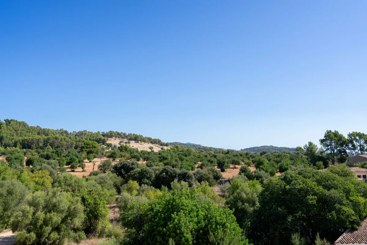 moderna-casa-de-pueblo-con-piscina-en-biniamar