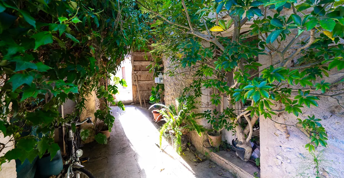 Stadthaus-Rustic-Views-Selva-13