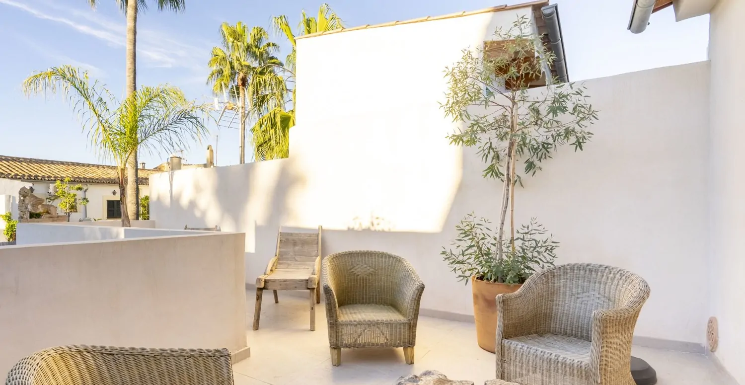 Terrace with palm trees