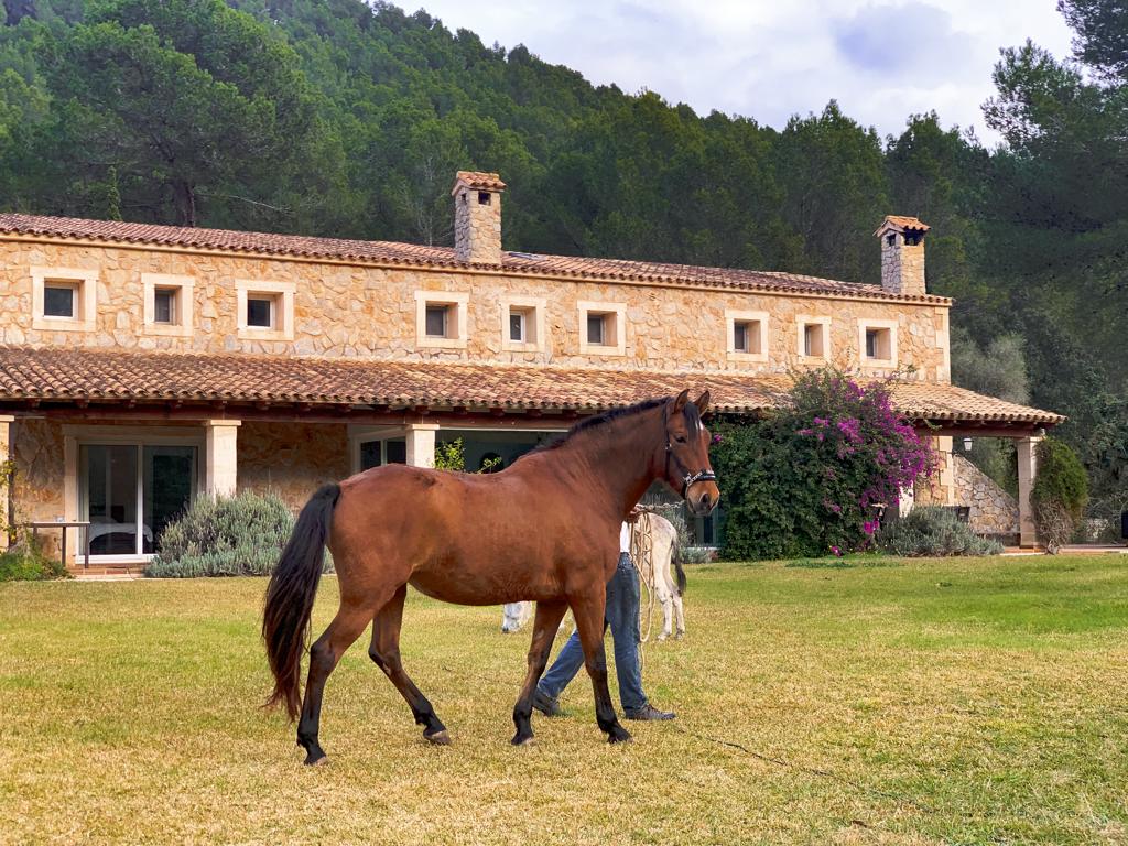 En alquiler bonita finca rústica con casa de piedra y cuadra de caballos, situada en una zona privilegiada de Esporles.