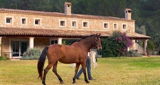 von_poll_real_estate_property_ES233744535_image_12