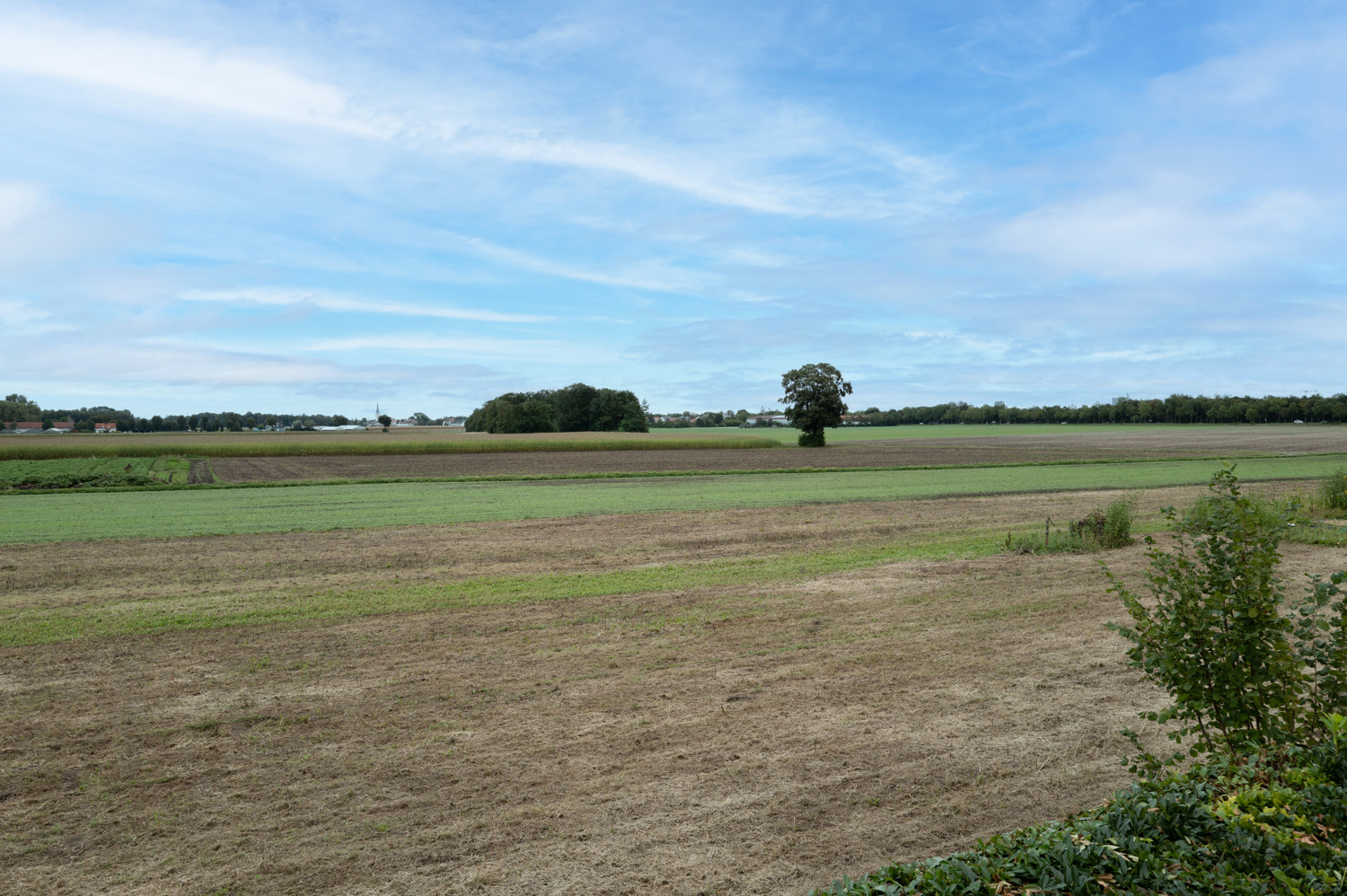 Ausblick vom 1. OG aus Bad und Zimmer nach Norden