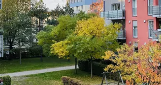 von_poll_real_estate_property_25391015_image_11