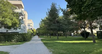 von_poll_real_estate_property_25391018_image_8