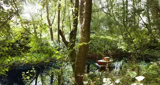 von_poll_real_estate_property_22404003_image_44