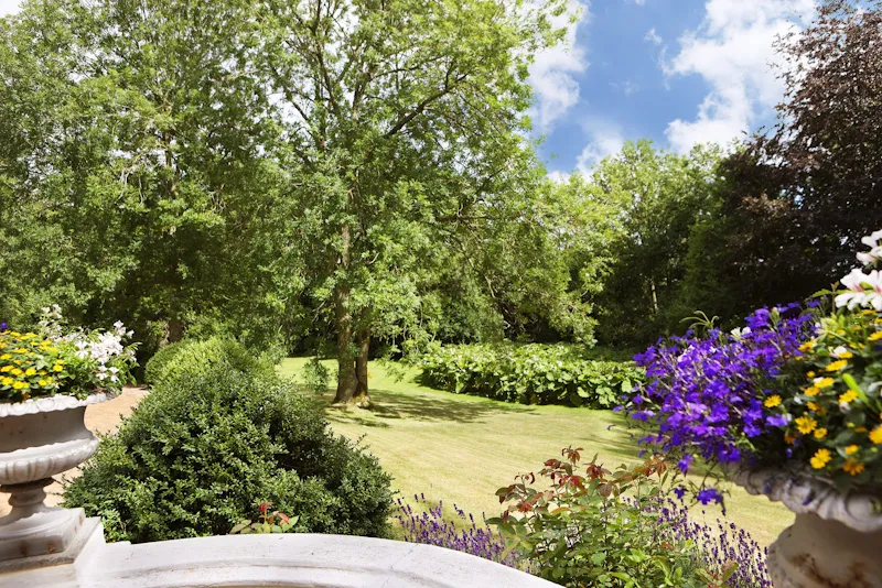 eine Fülle an Pflanzen und altem Baumbestand