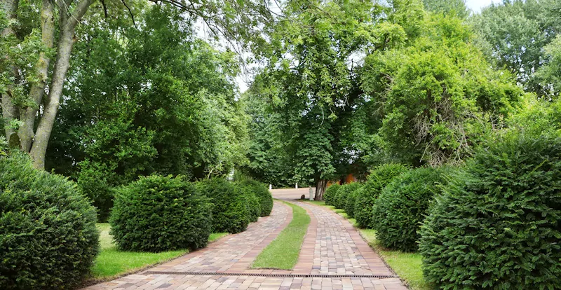 wertige Pflasterung der kompletten Auffahrt