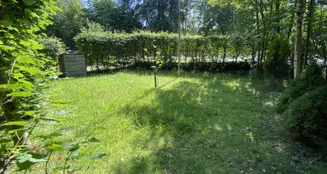 von_poll_real_estate_property_24404012_image_4