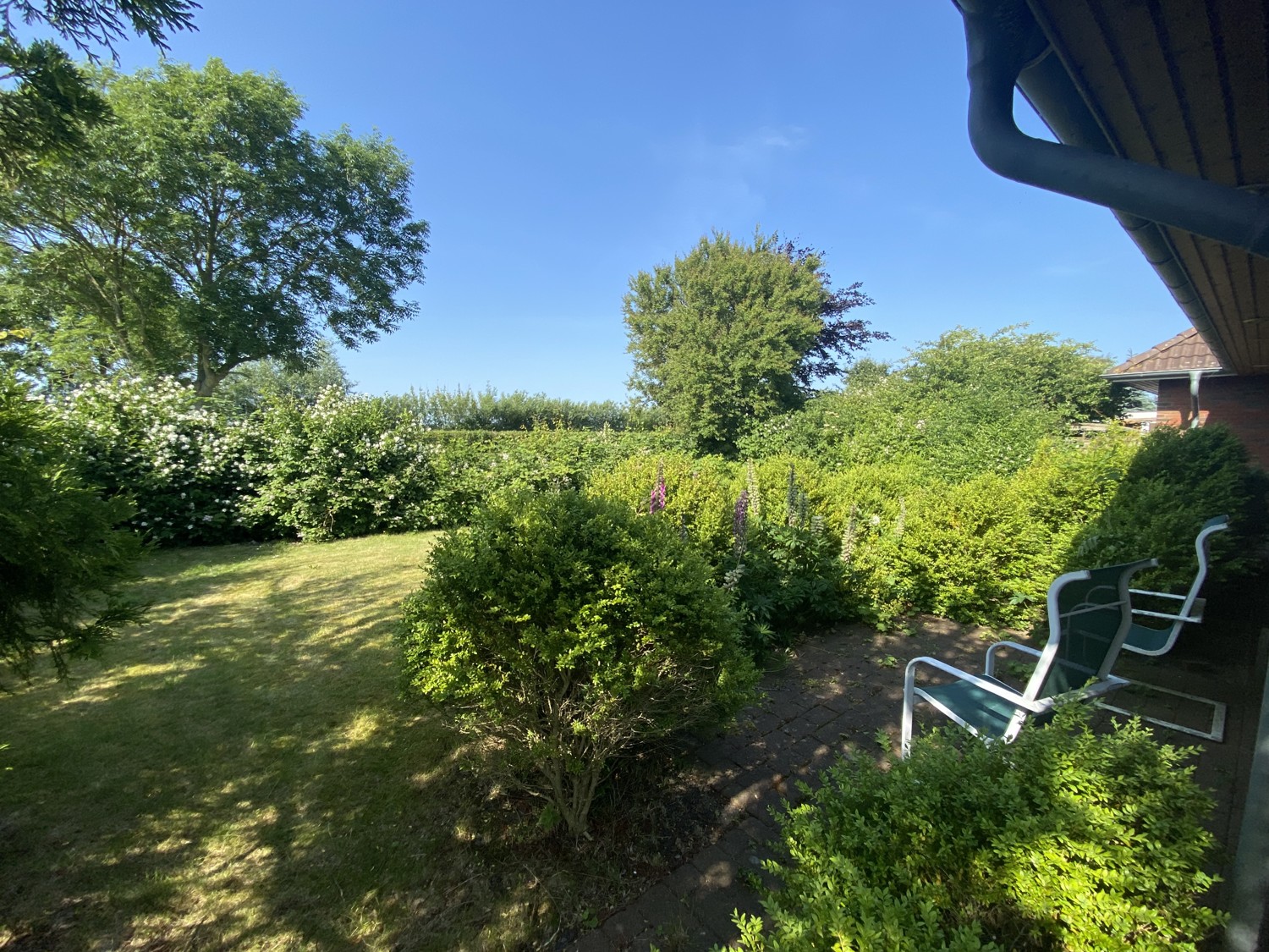Garten 4