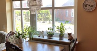 von_poll_real_estate_property_25266008_image_9