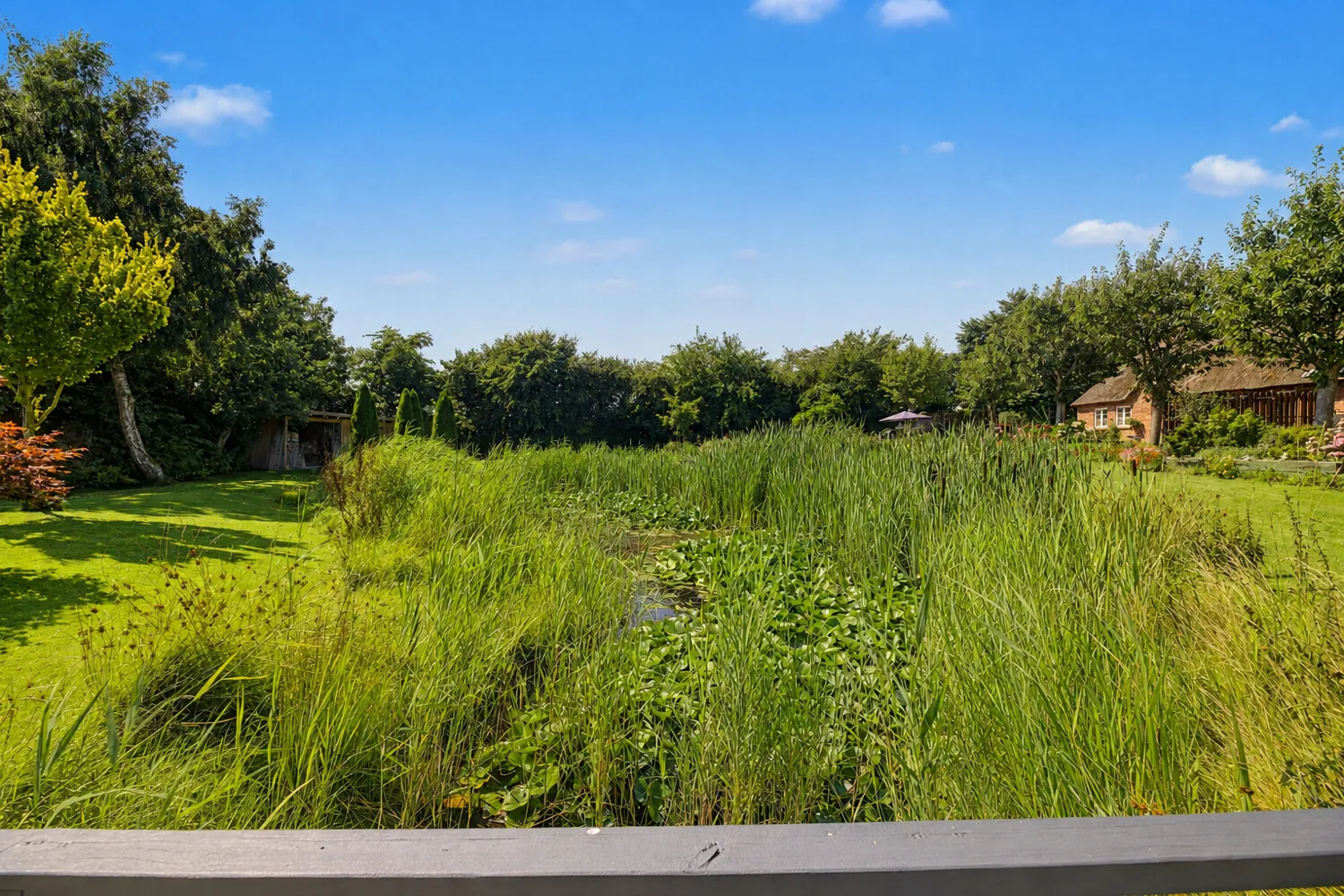Seerosenteich