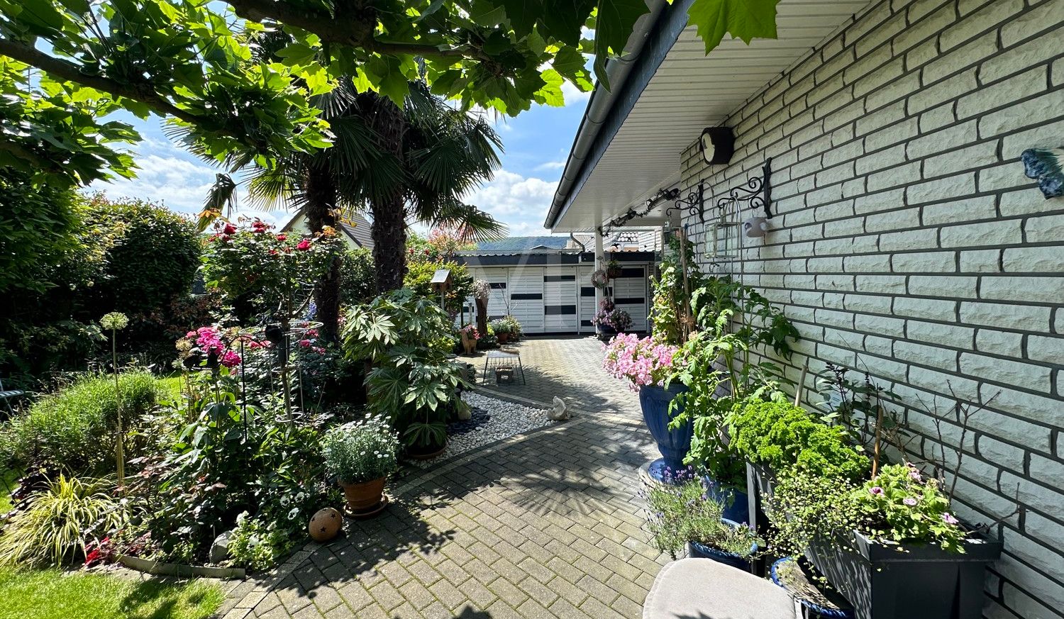 Natürlicher Sonnenschirm