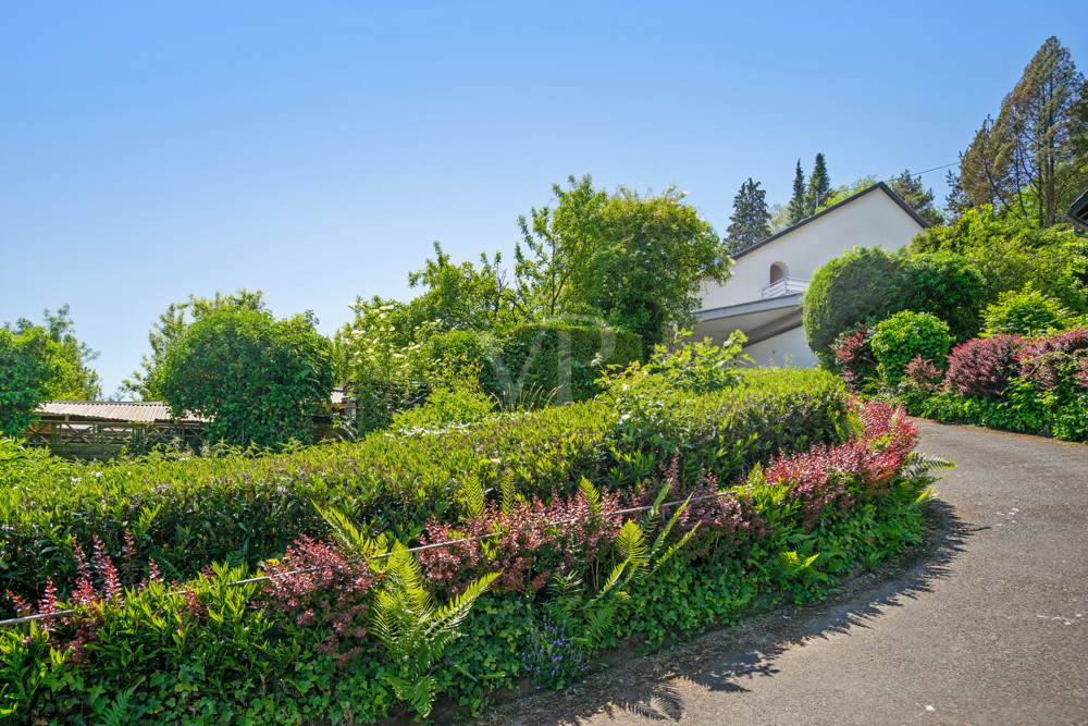 Paradies in der Höhe von Linz am Rhein