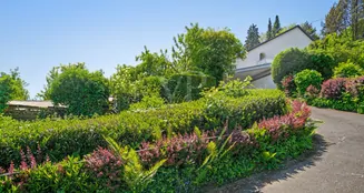 von_poll_real_estate_property_23325009_image_14