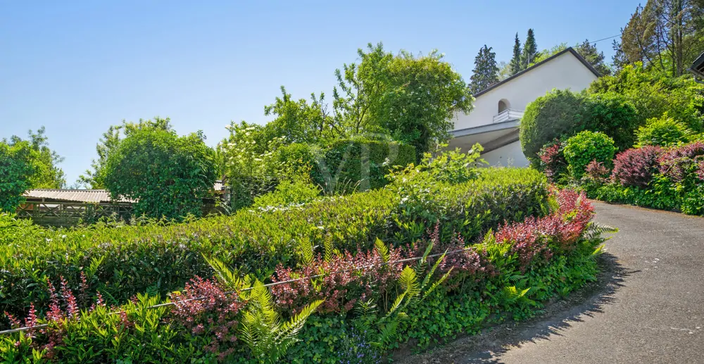 Paradies in der Höhe von Linz am Rhein