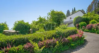 von_poll_real_estate_property_23325009_image_14