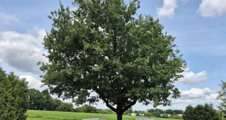 von_poll_real_estate_property_25325001_image_0