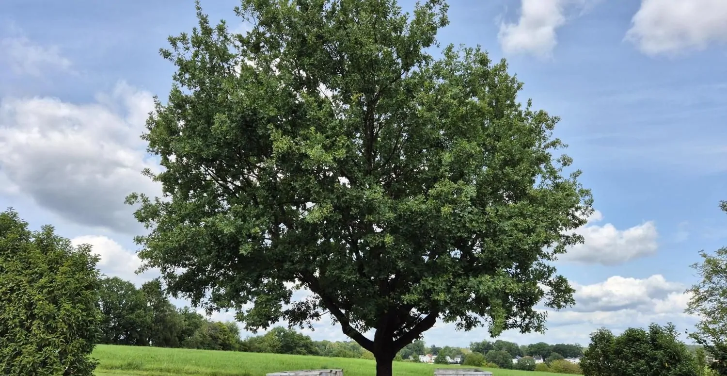 Einklang mit der Natur!