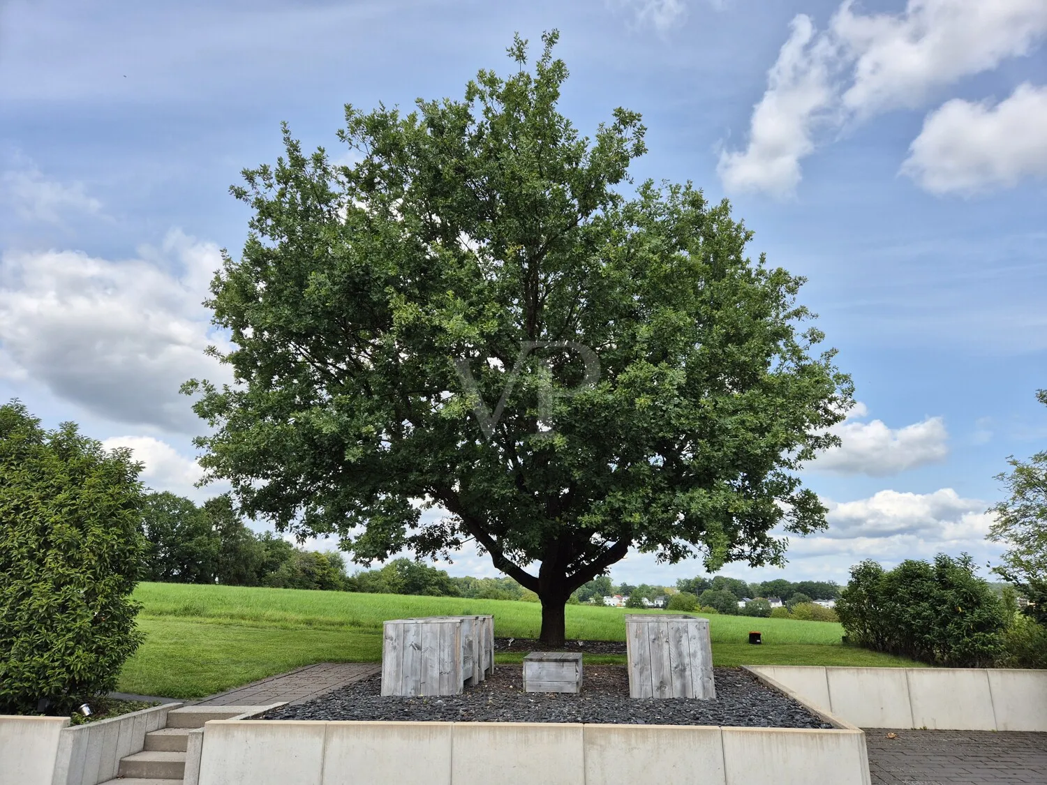 Luxus, Raum & Raffinesse – energieeffizientes Smart-Home mit außergewöhnlichem Wohnkomfort