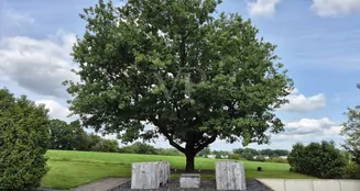 von_poll_real_estate_property_25325001_image_12