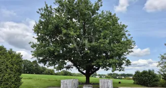 von_poll_real_estate_property_25325001_image_12