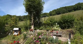 von_poll_real_estate_property_25325013_image_1