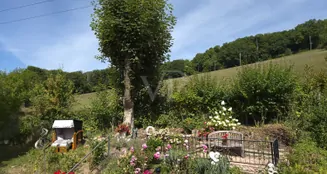 von_poll_real_estate_property_25325013_image_2