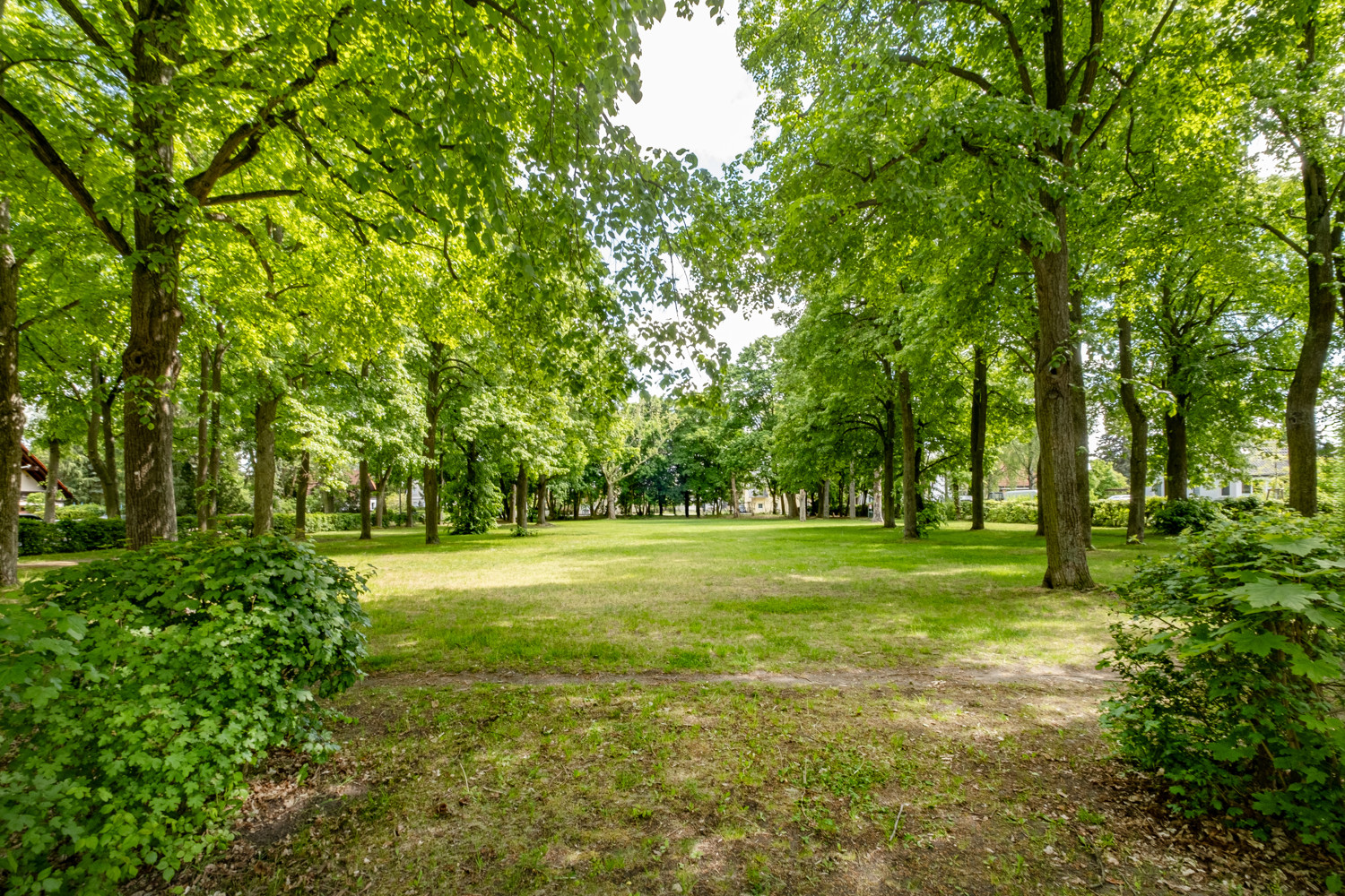 Park in unmittelbarer Nähe