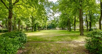 von_poll_real_estate_property_25306017_image_18