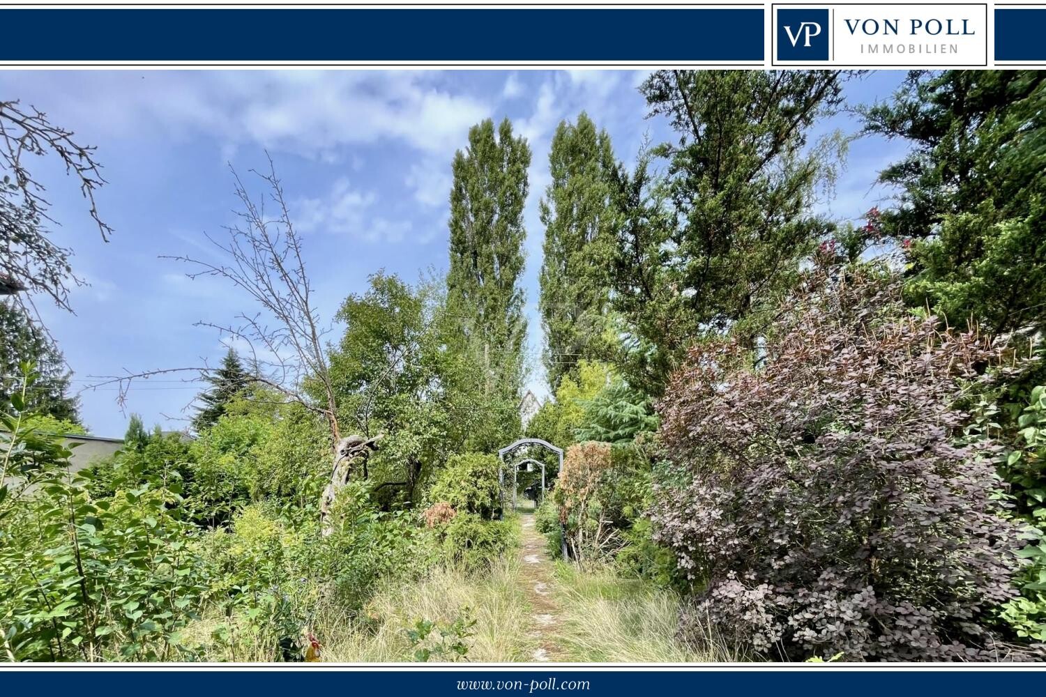 Blick_zur_Straße VP
