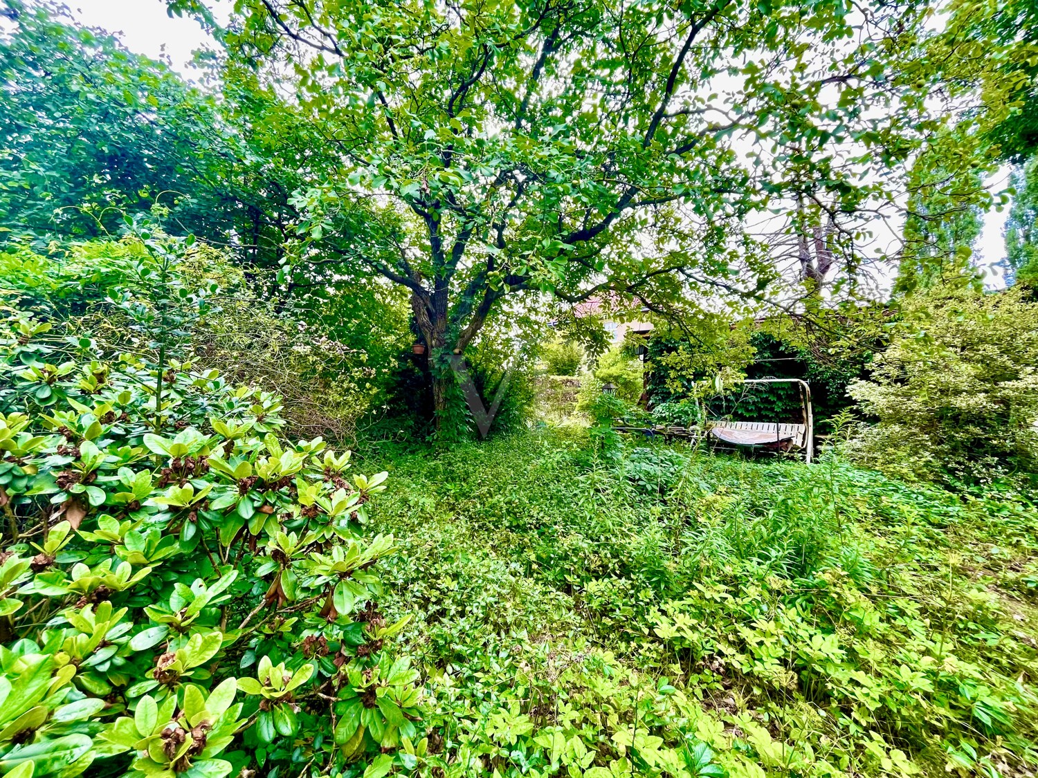 hinterer Garten