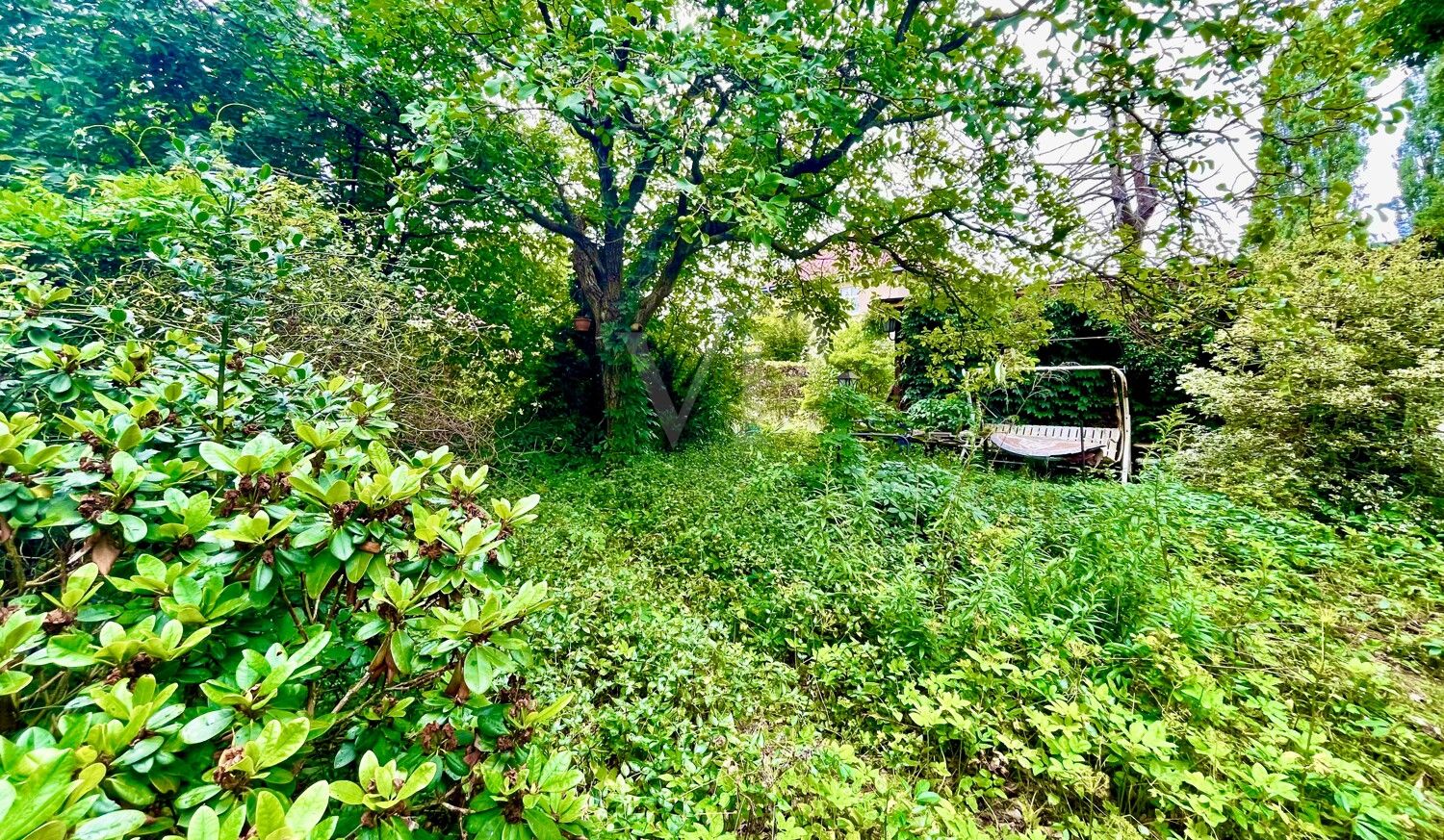 hinterer Garten