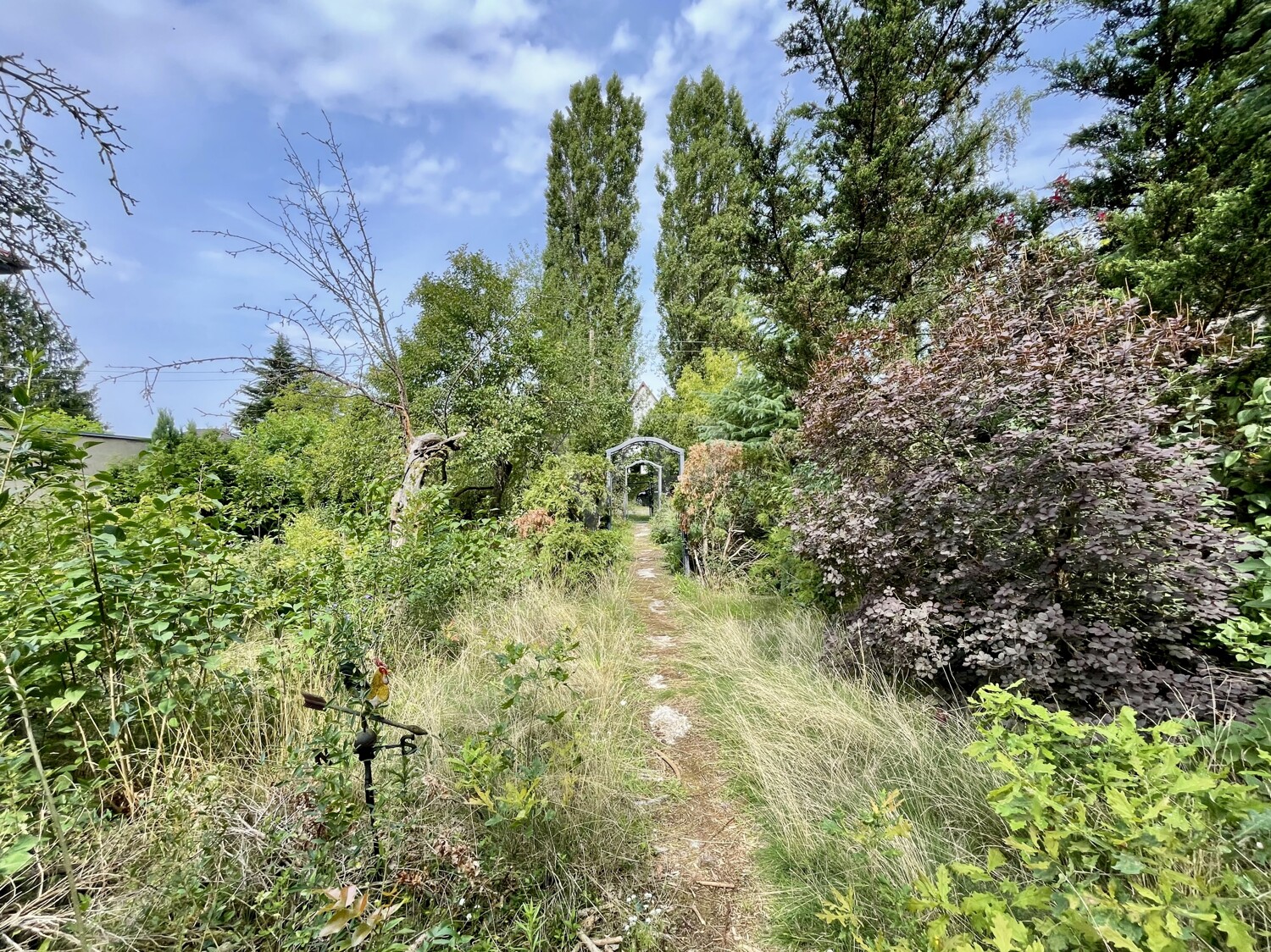 Blick zur Straße