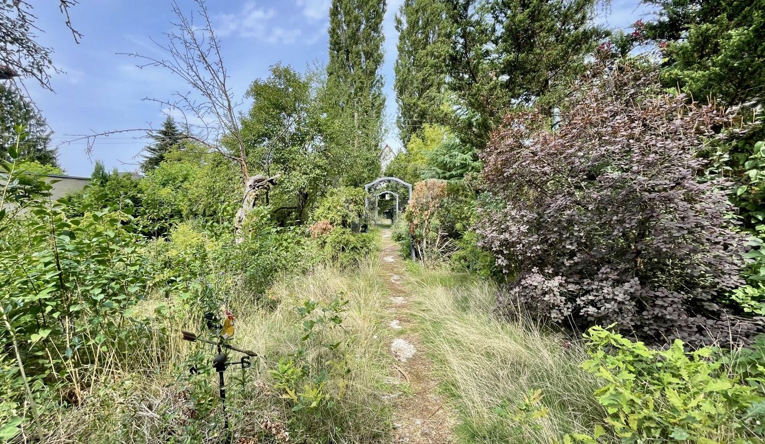Blick zur Straße