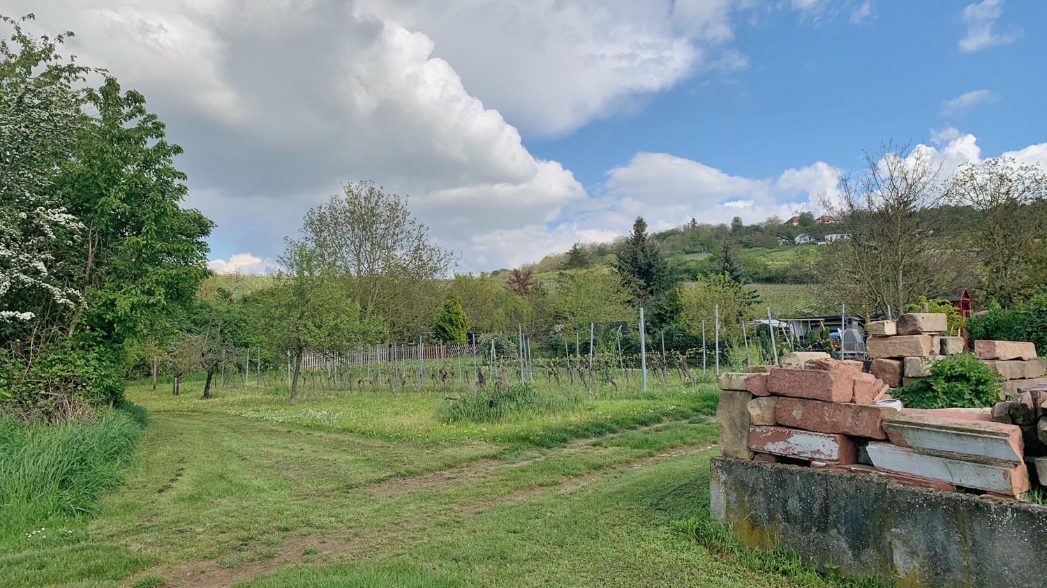 Ausblick Jakobsberg