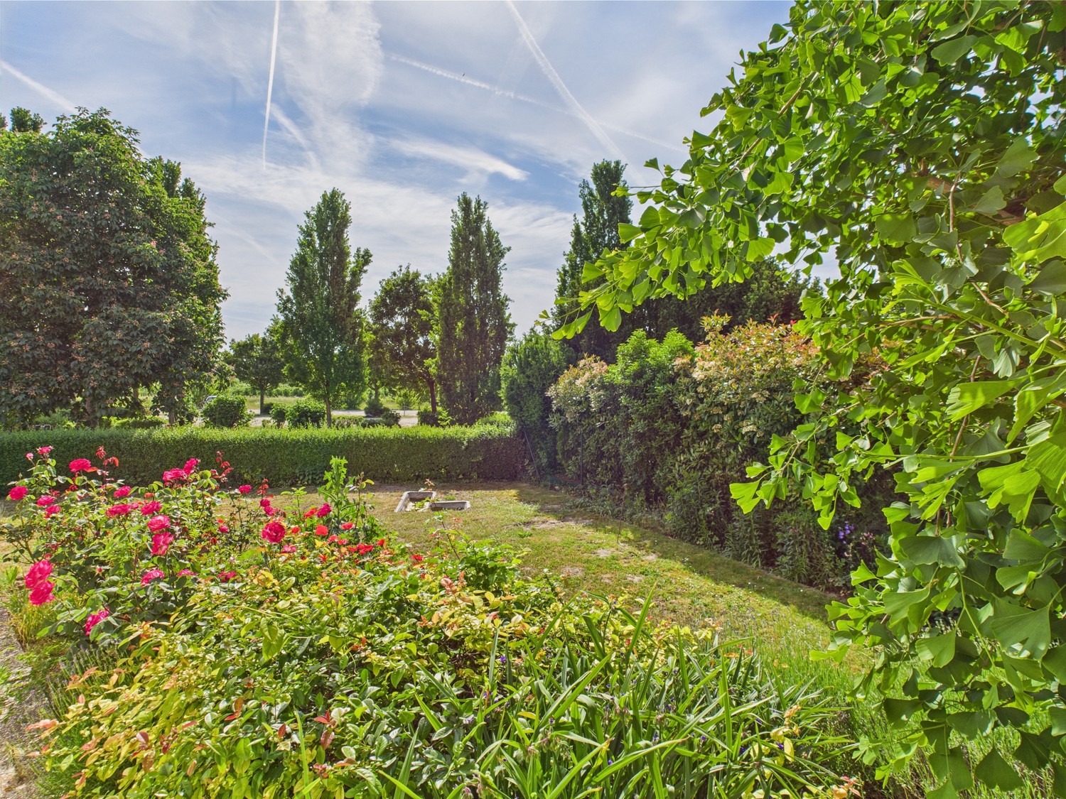 ...Zugang zum Garten