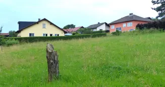 von_poll_real_estate_property_24332007_image_1