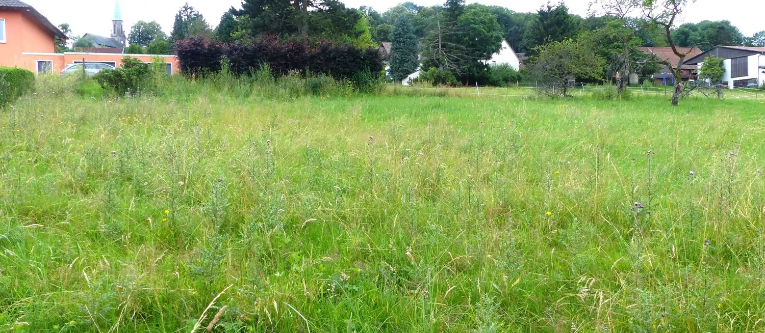 Grundstück Bebauung