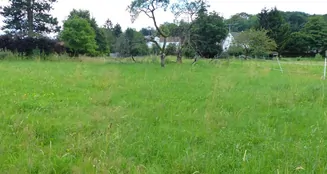 von_poll_real_estate_property_24332007_image_0