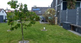 von_poll_real_estate_property_25332005_image_13