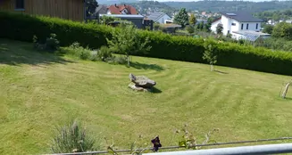 von_poll_real_estate_property_25332016_image_9