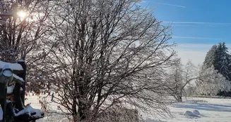 von_poll_real_estate_property_25332015_image_1